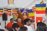 Vesak Day 2019 (13/49)