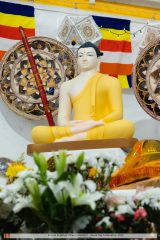 Vesak Day 2023 (50/50)